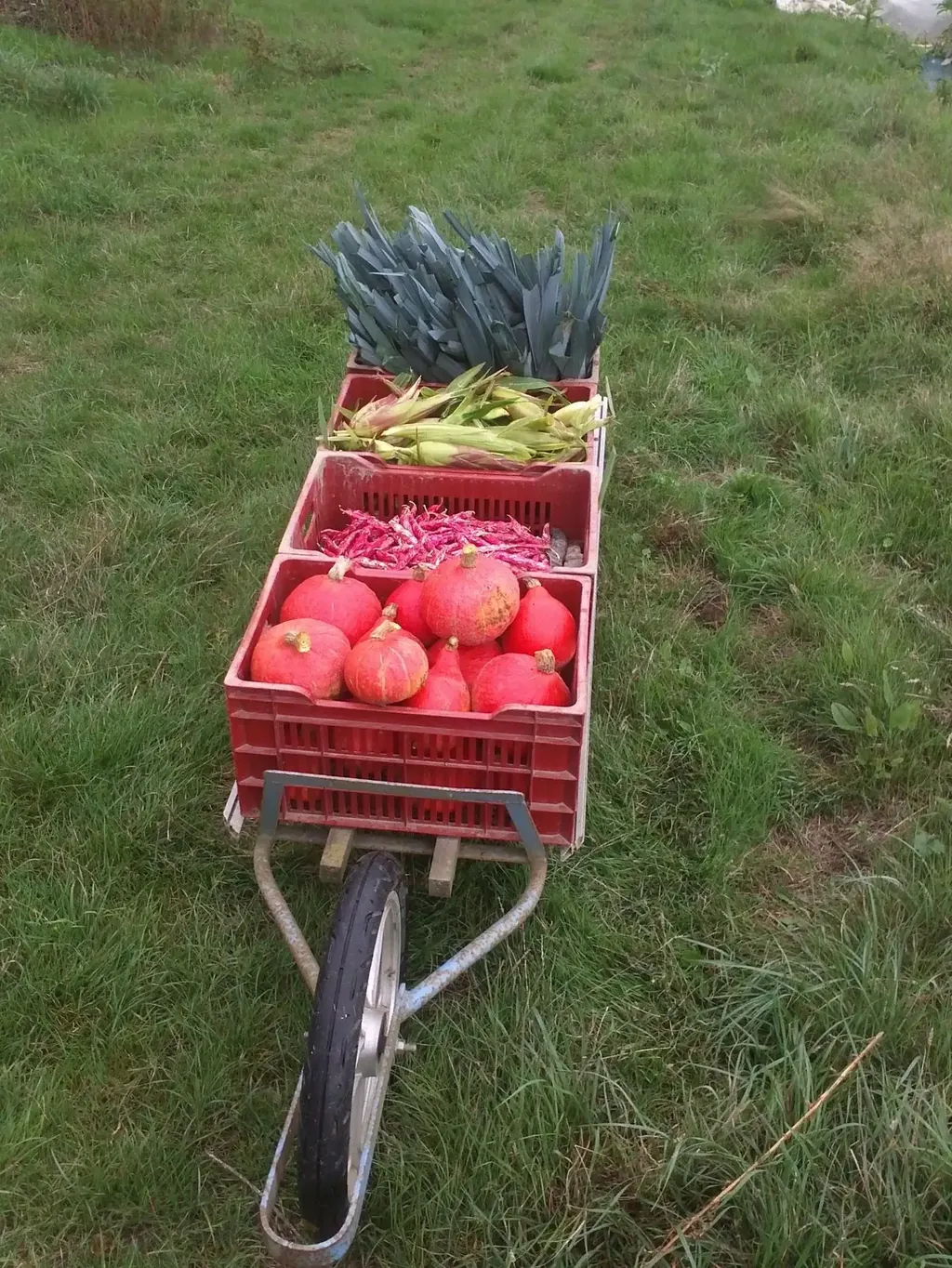 Brouette de légumes d'automne