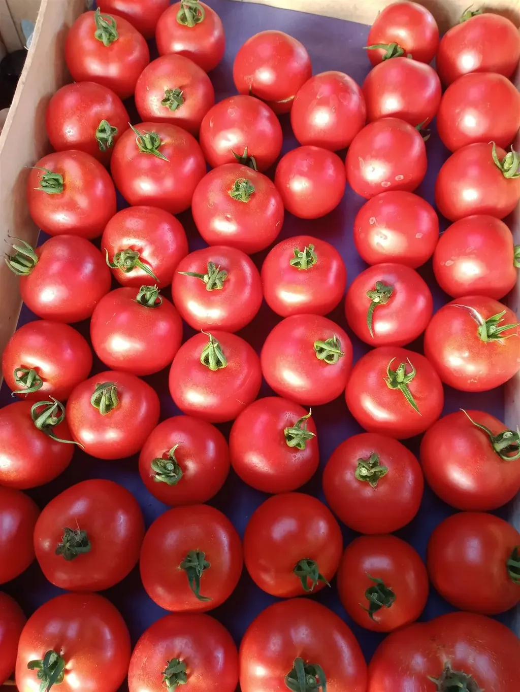 Cagette de légumes de Paola