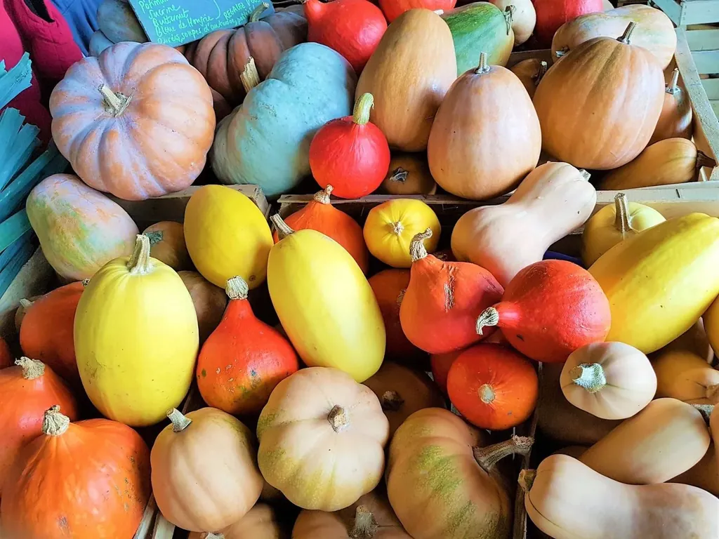 Courges variées sur l'étal