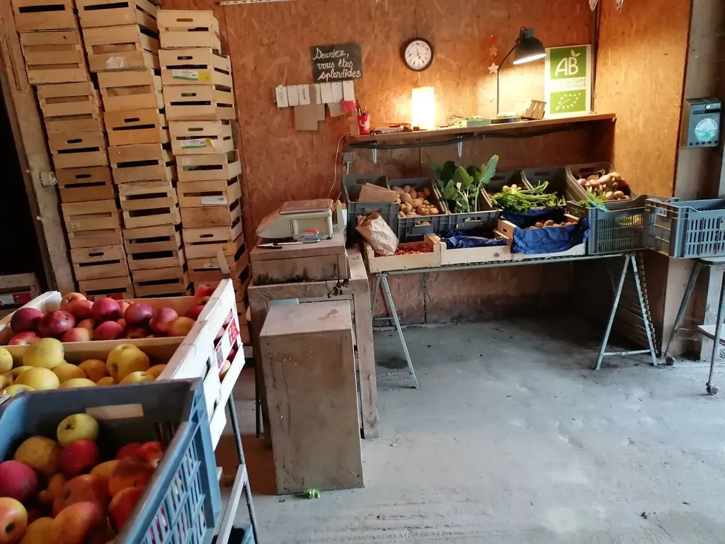 Marché du mercredi